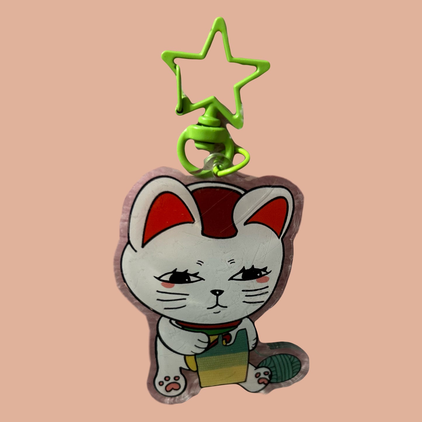 lucky cat stickers and keychain